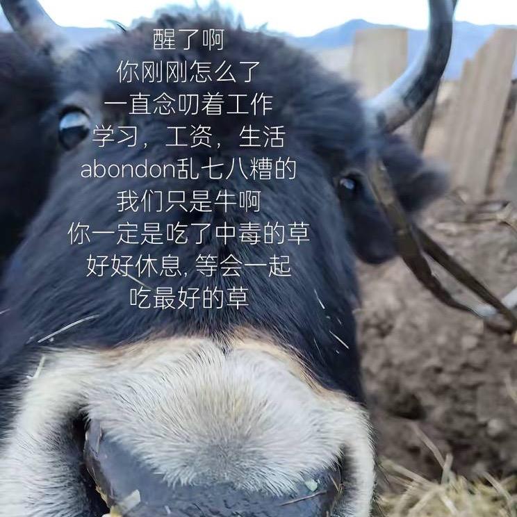 小行星