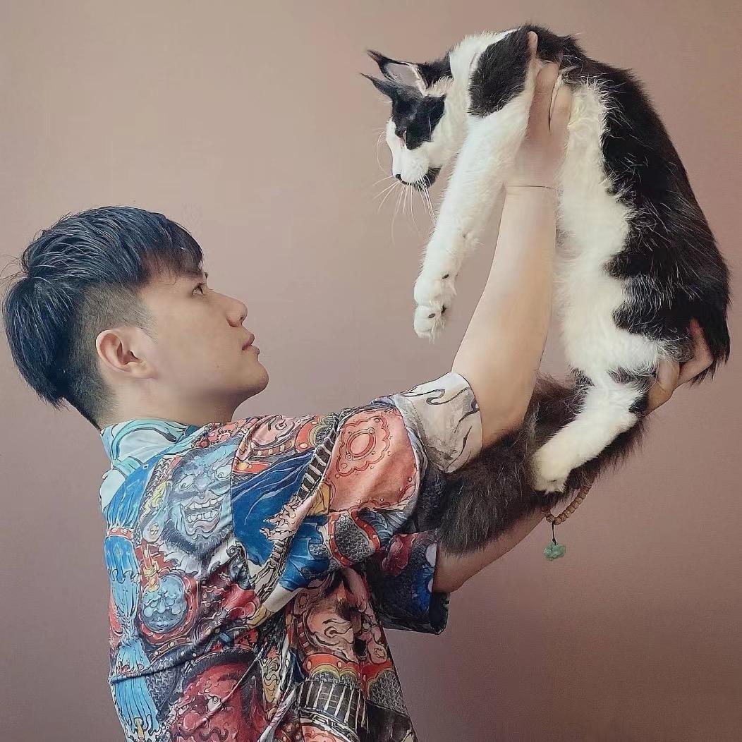 粉红豹缅因猫舍