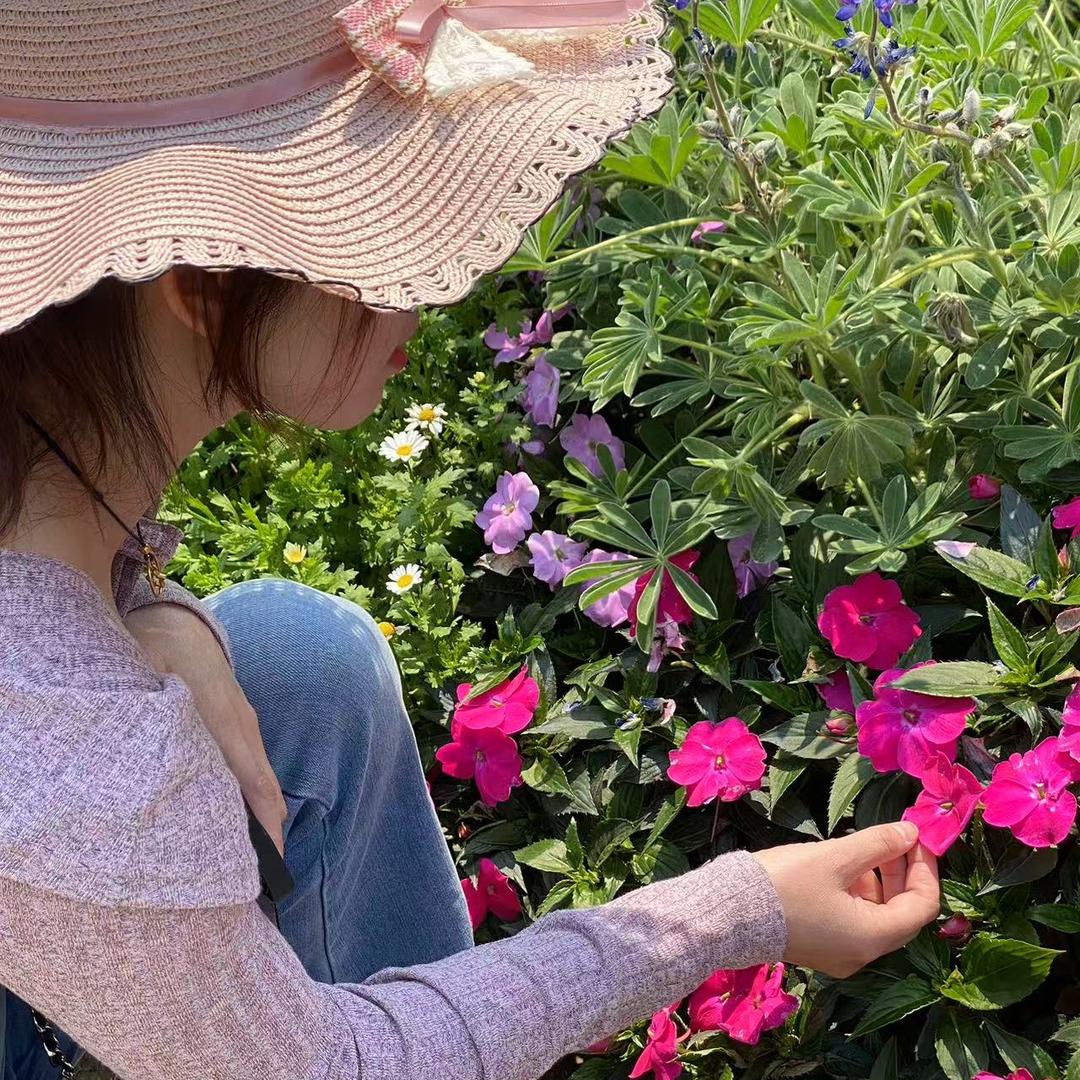 🌸花花🌸