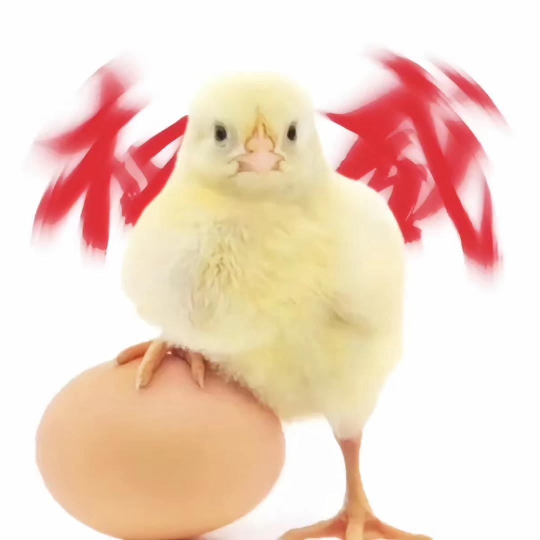 哈哈ha123