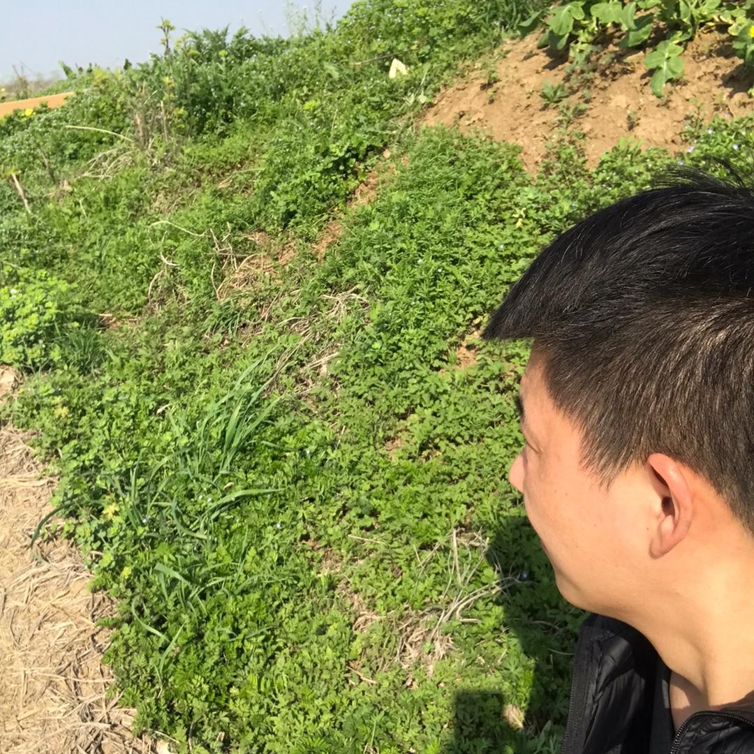 卖大肉面的唐伟桀（jié）