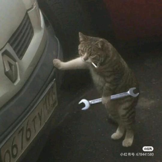 咫尺.