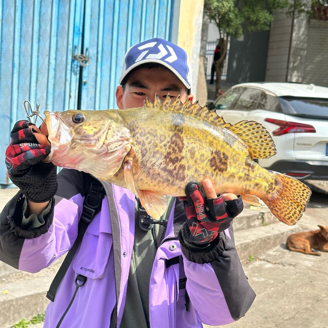 河流之主🎣【路亚】