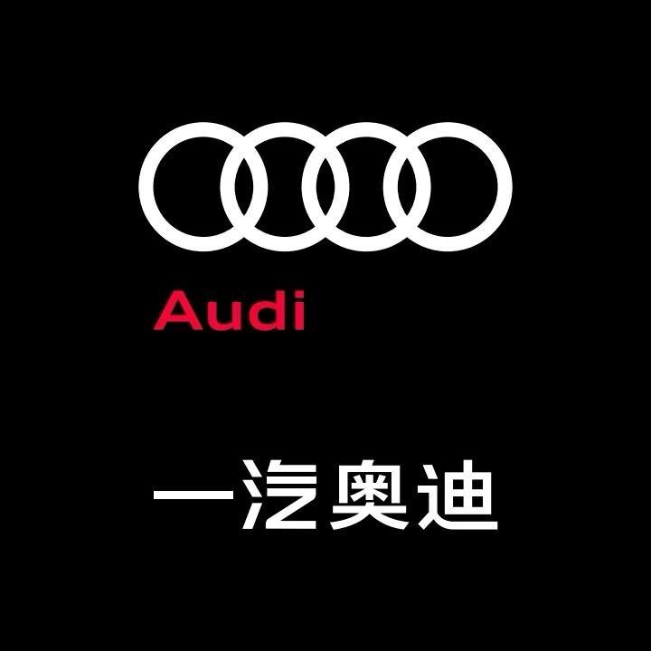 一汽奥迪新能源-上海东昌嘉定奥迪