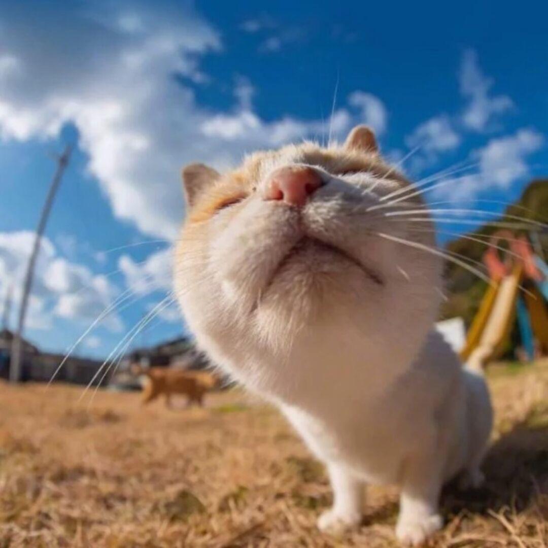 胡汉叁