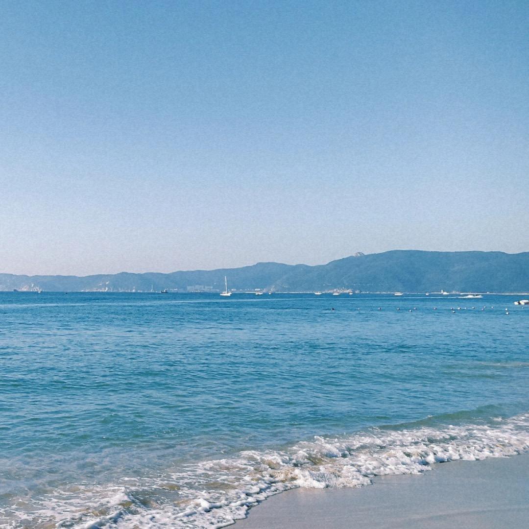 琪琪爱吃牛油果🥑