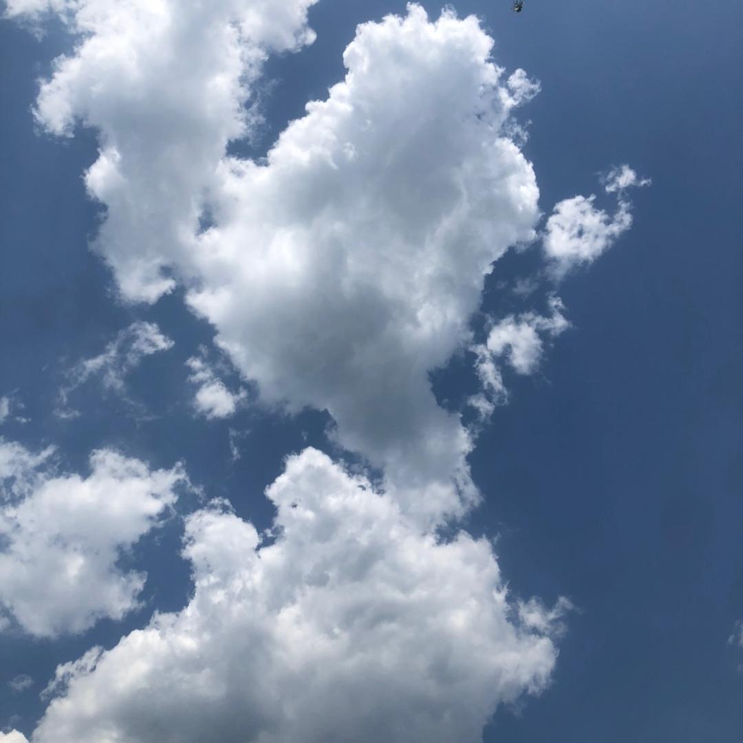 早起的猴子追太阳☀️