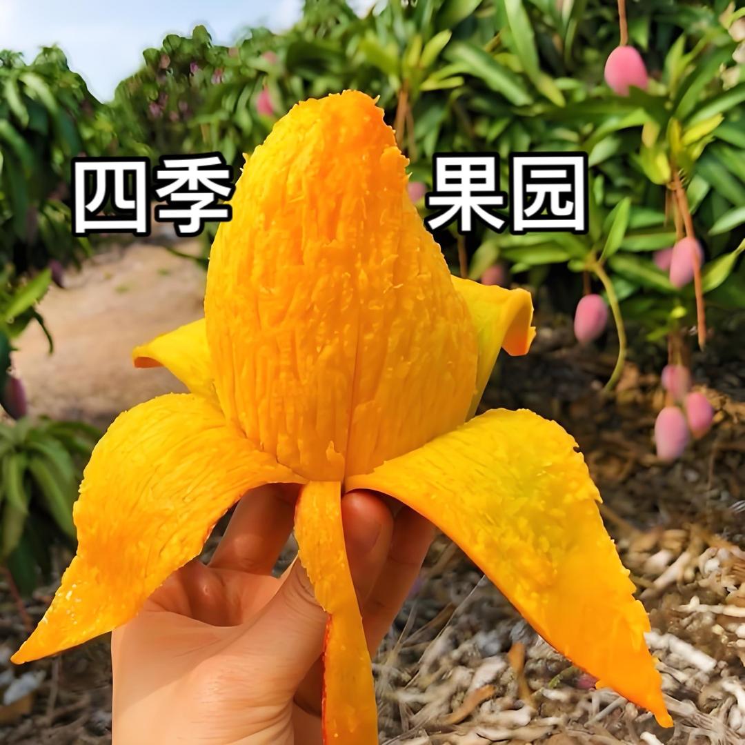 四季果园一柚子