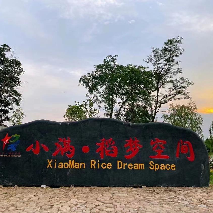 小满稻梦空间