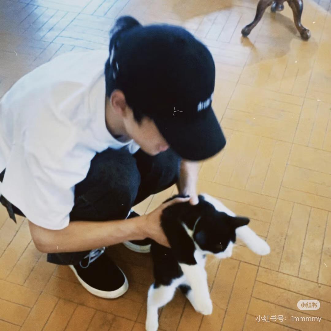 别说小象像小鼠