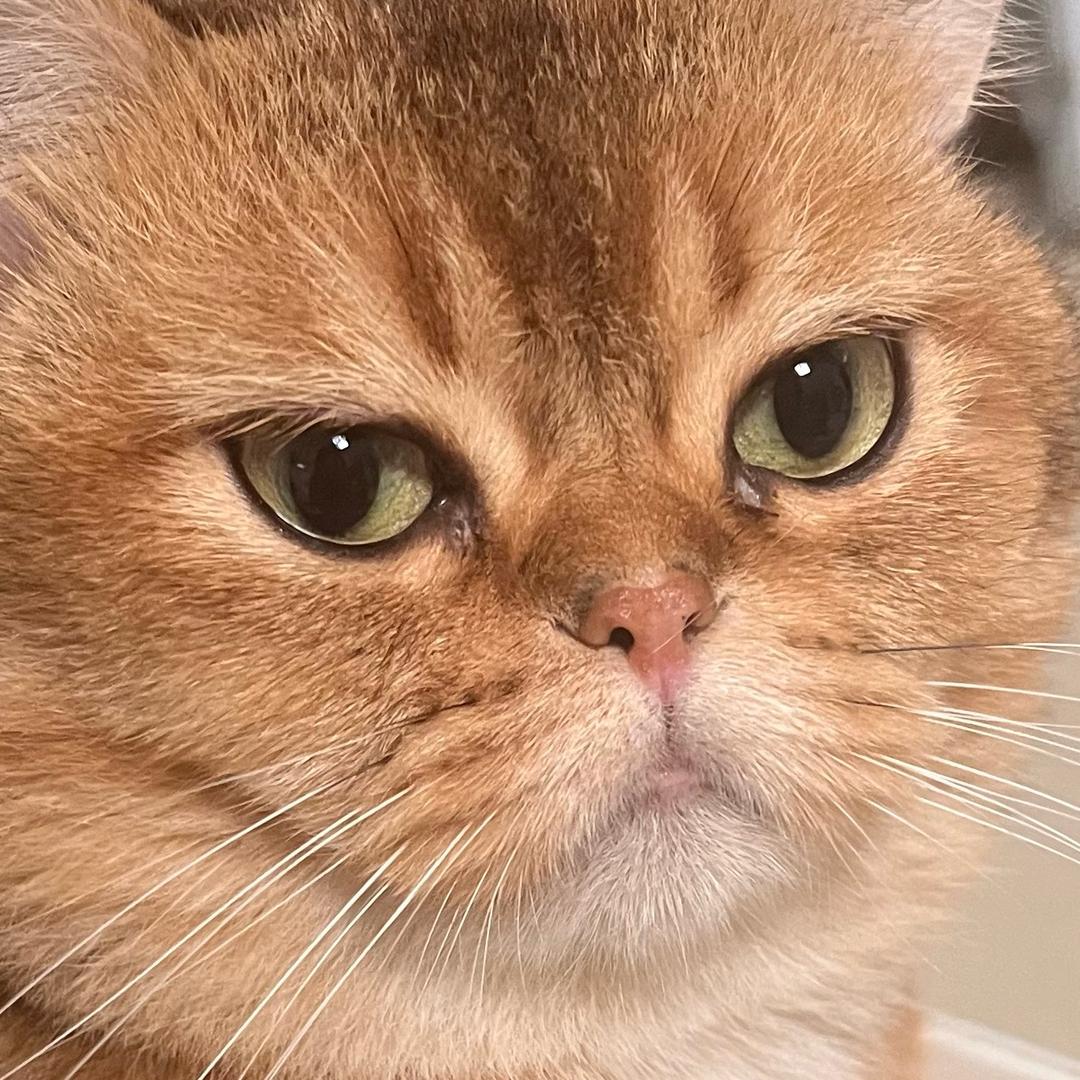 0_
