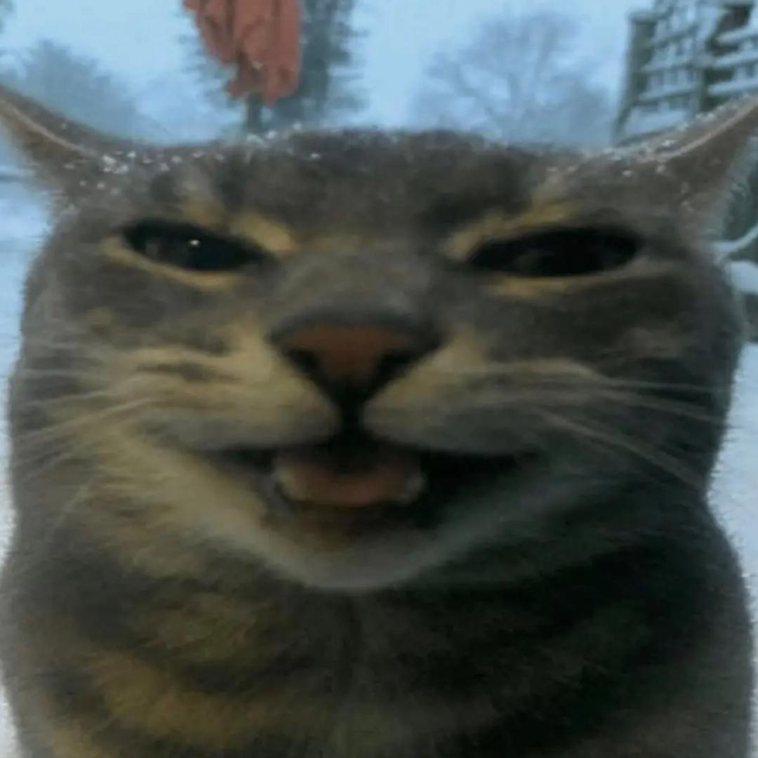 鸡蛋