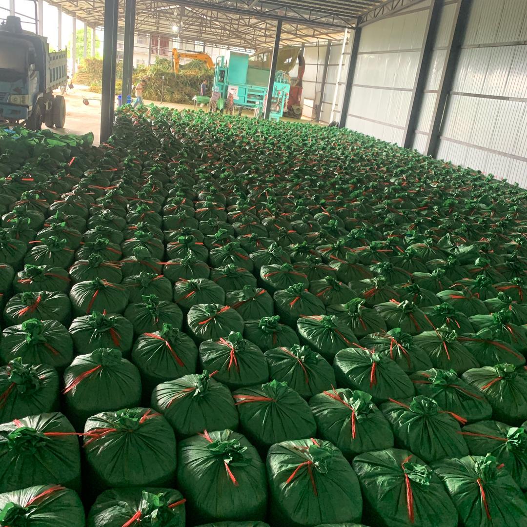 云南西双版纳青贮秸秆加工销售