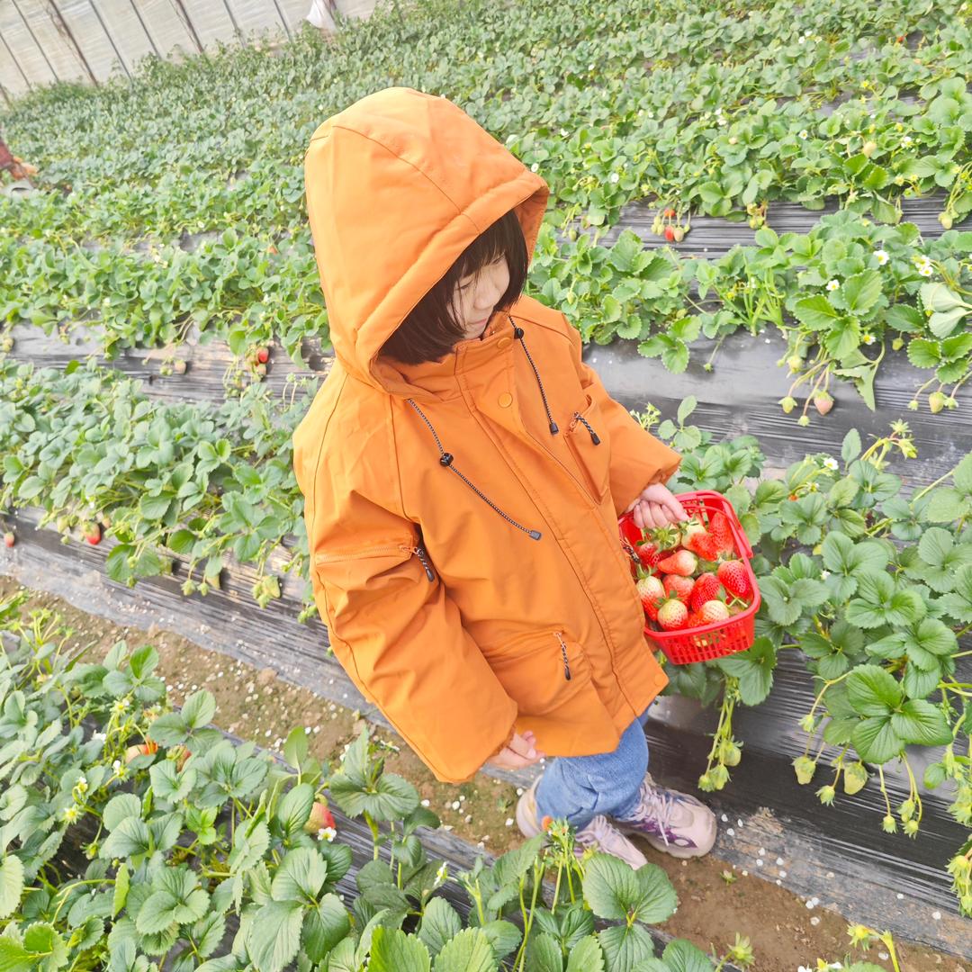 爱吃美食的小姐姐