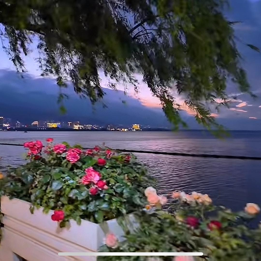 百善孝为先🌈囍