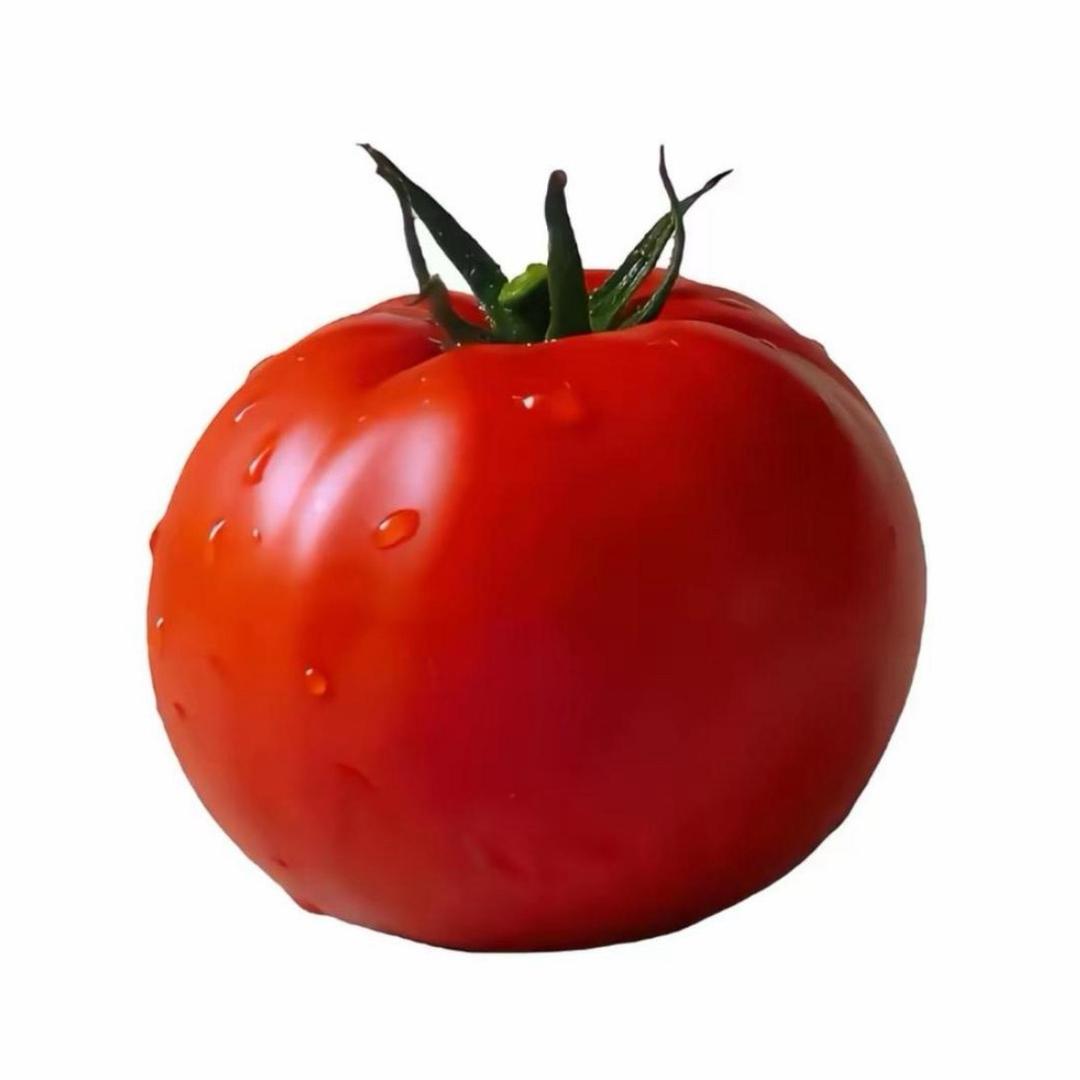 225号番茄锦鲤🍅