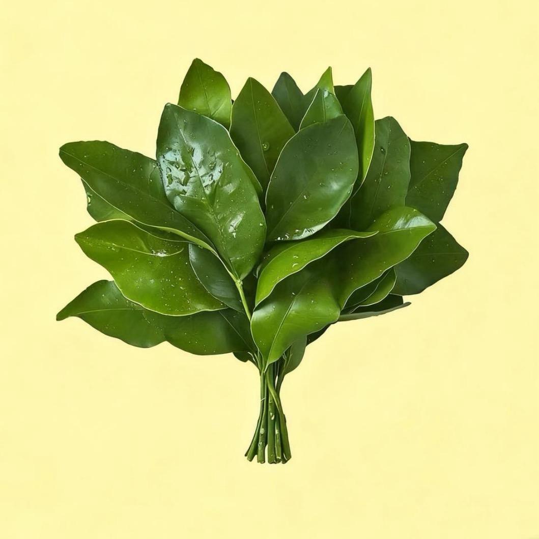 就叫林圆圆算了～