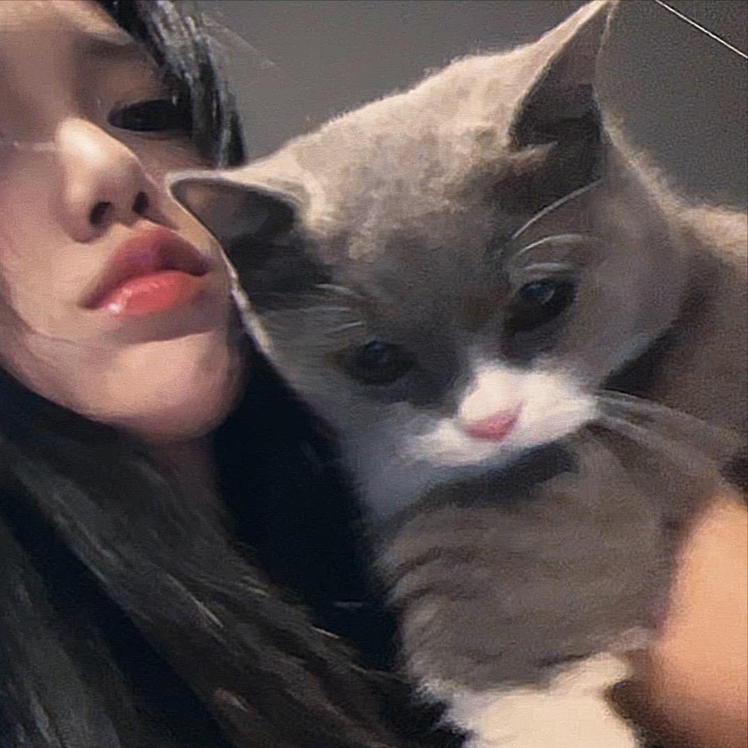 我想我的猫