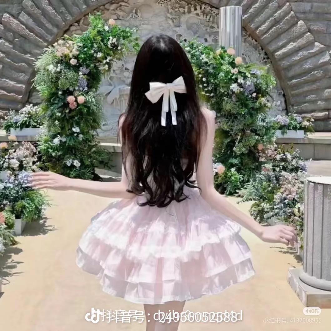 盛开的玫瑰