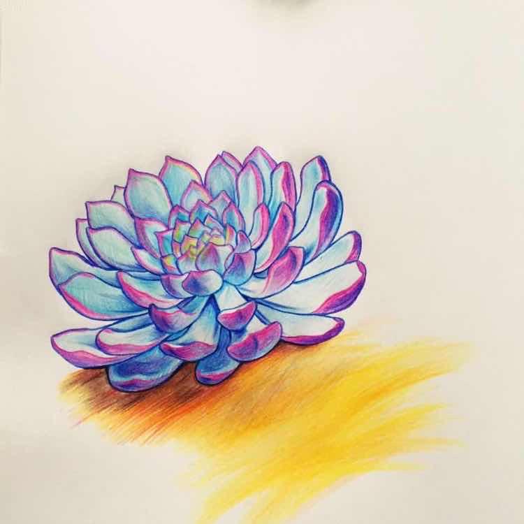 小楠园艺