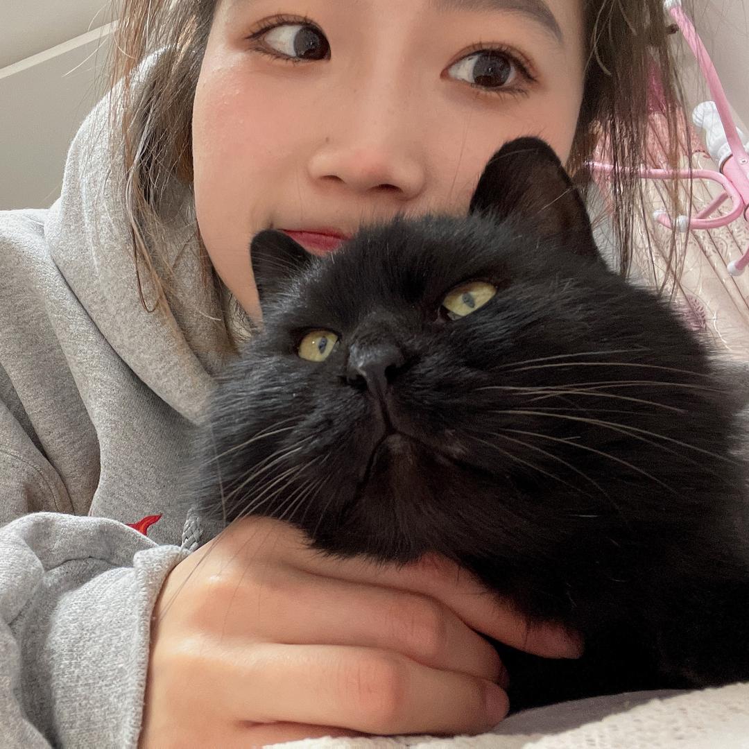 每天都要拉