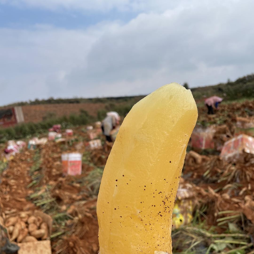 味缕农业