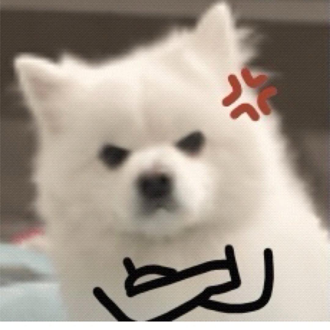 讲废话第一名