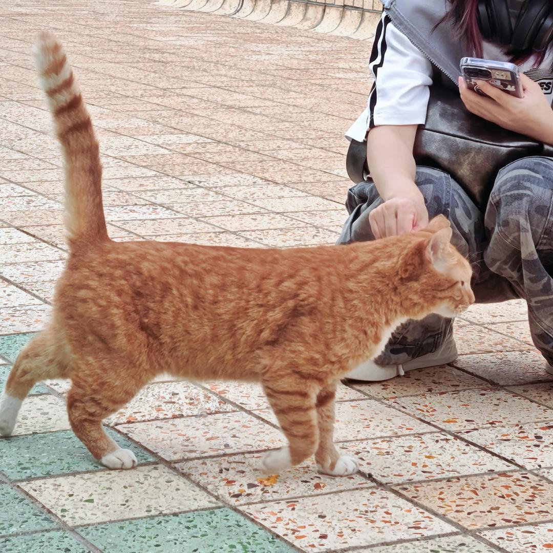 贝黎诗东方店美容师小M