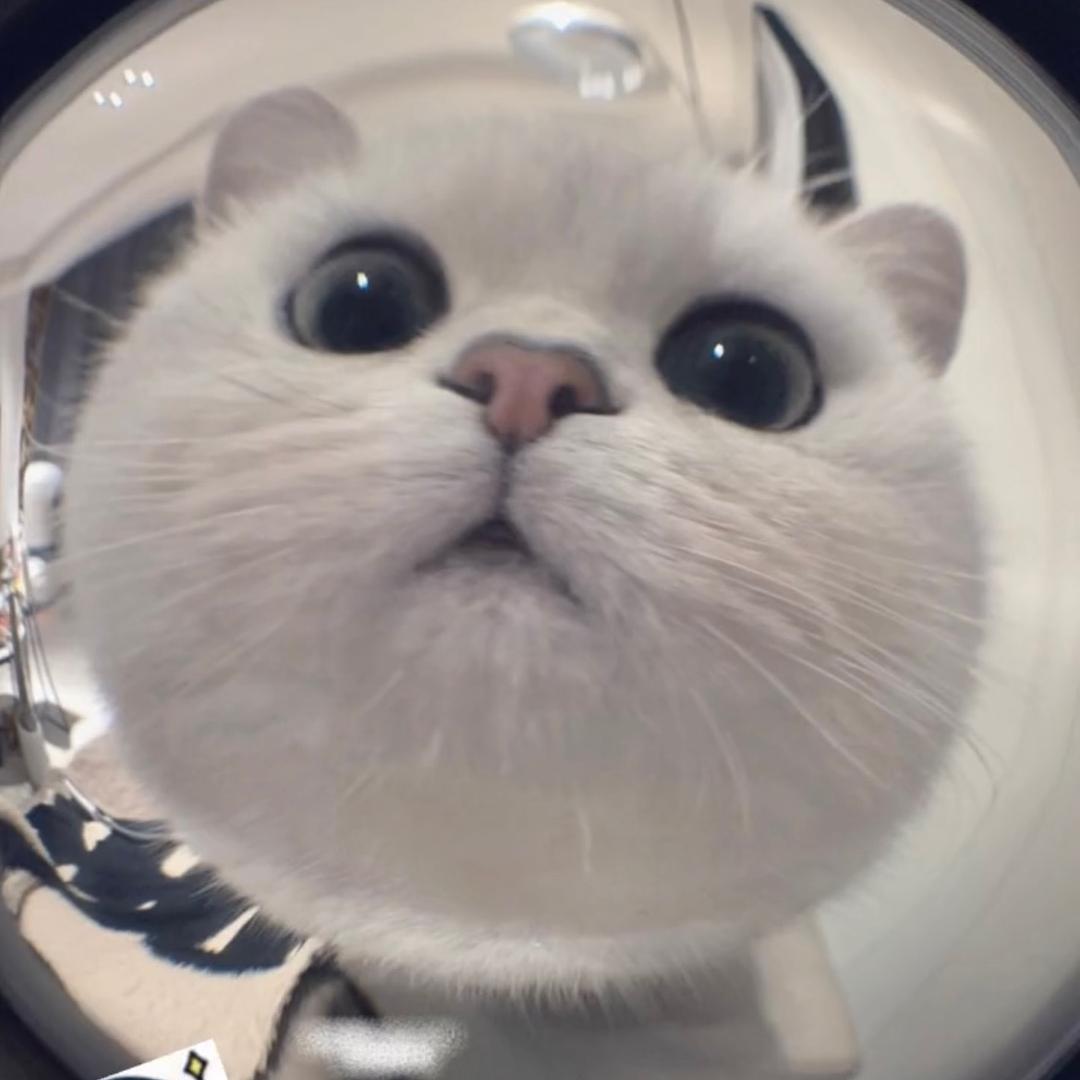 T9营销 gogo 丹丹