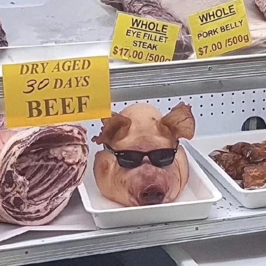 冯源