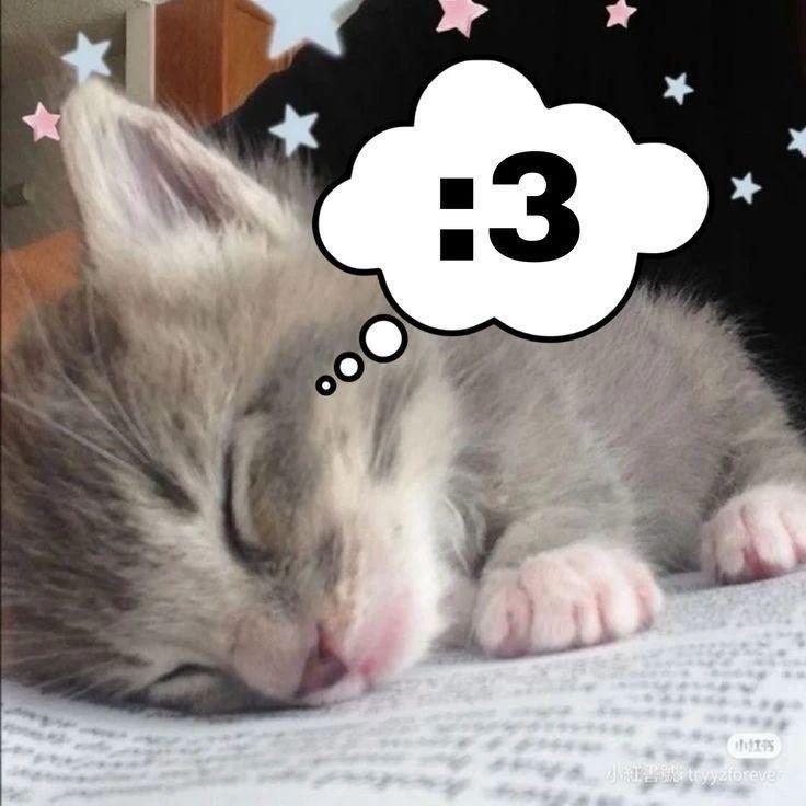 番茄酱袭击土豆失败