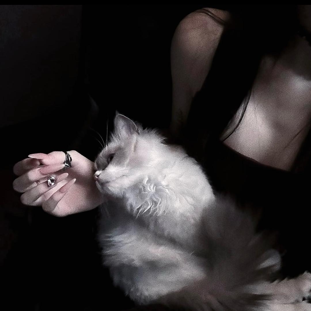 想养¹只崽崽.🧄