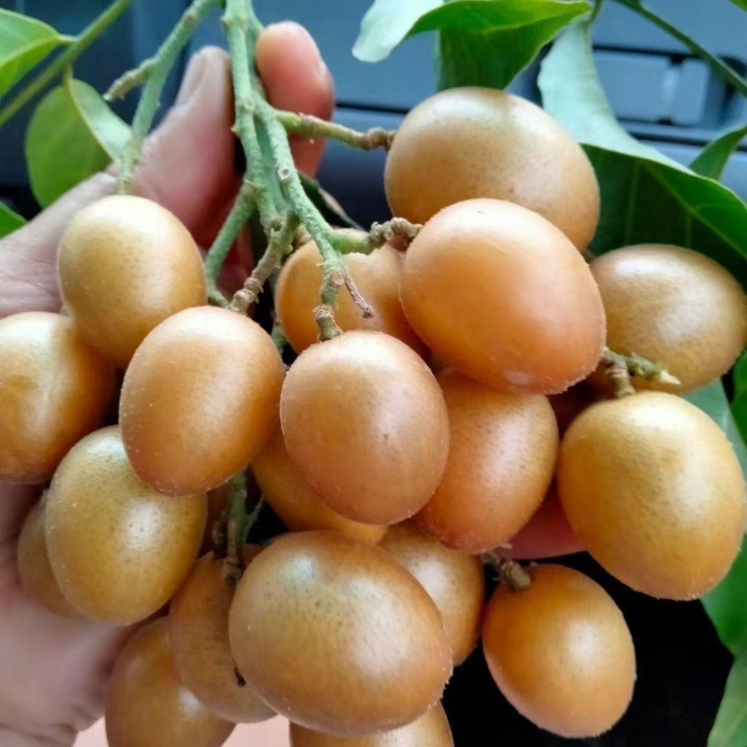 百集汇商贸
