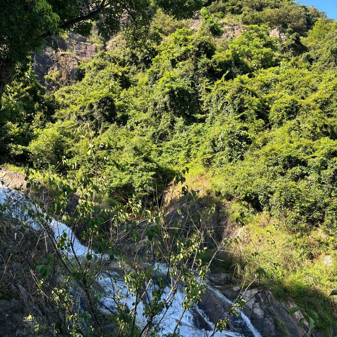 拒绝杠精