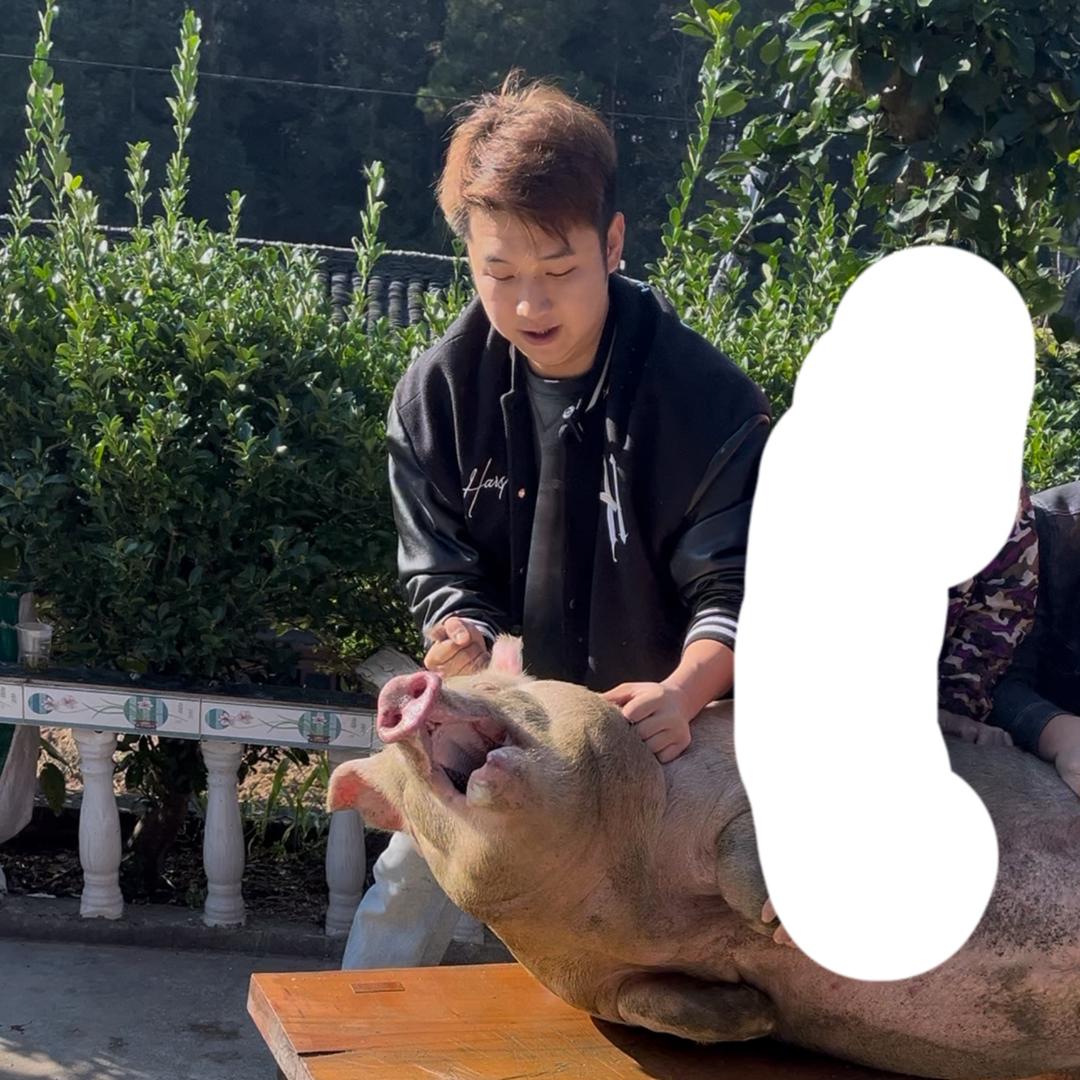 天蓬农家土猪肉