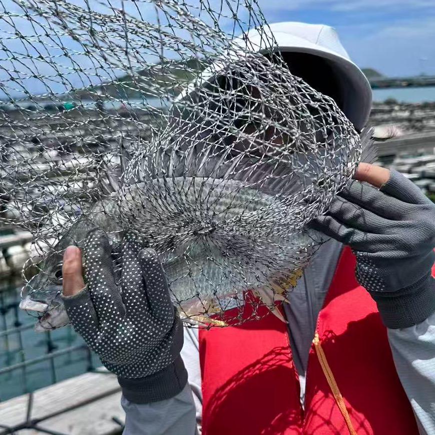 麻瓜海钓记