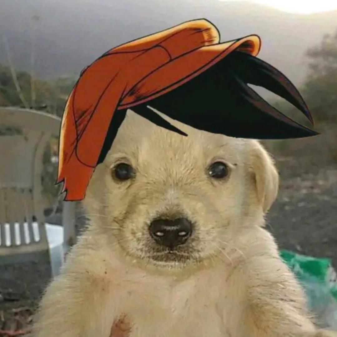 不是二刺猿