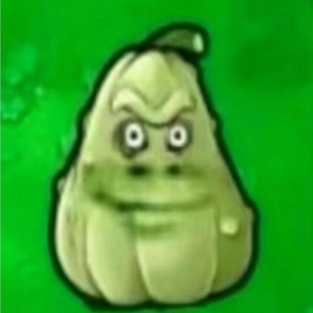 o苗o苗