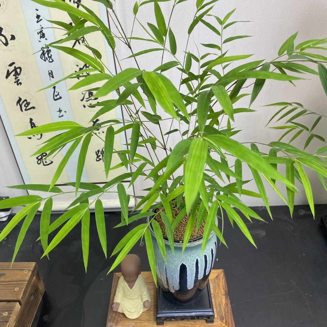 ART.艺术空间