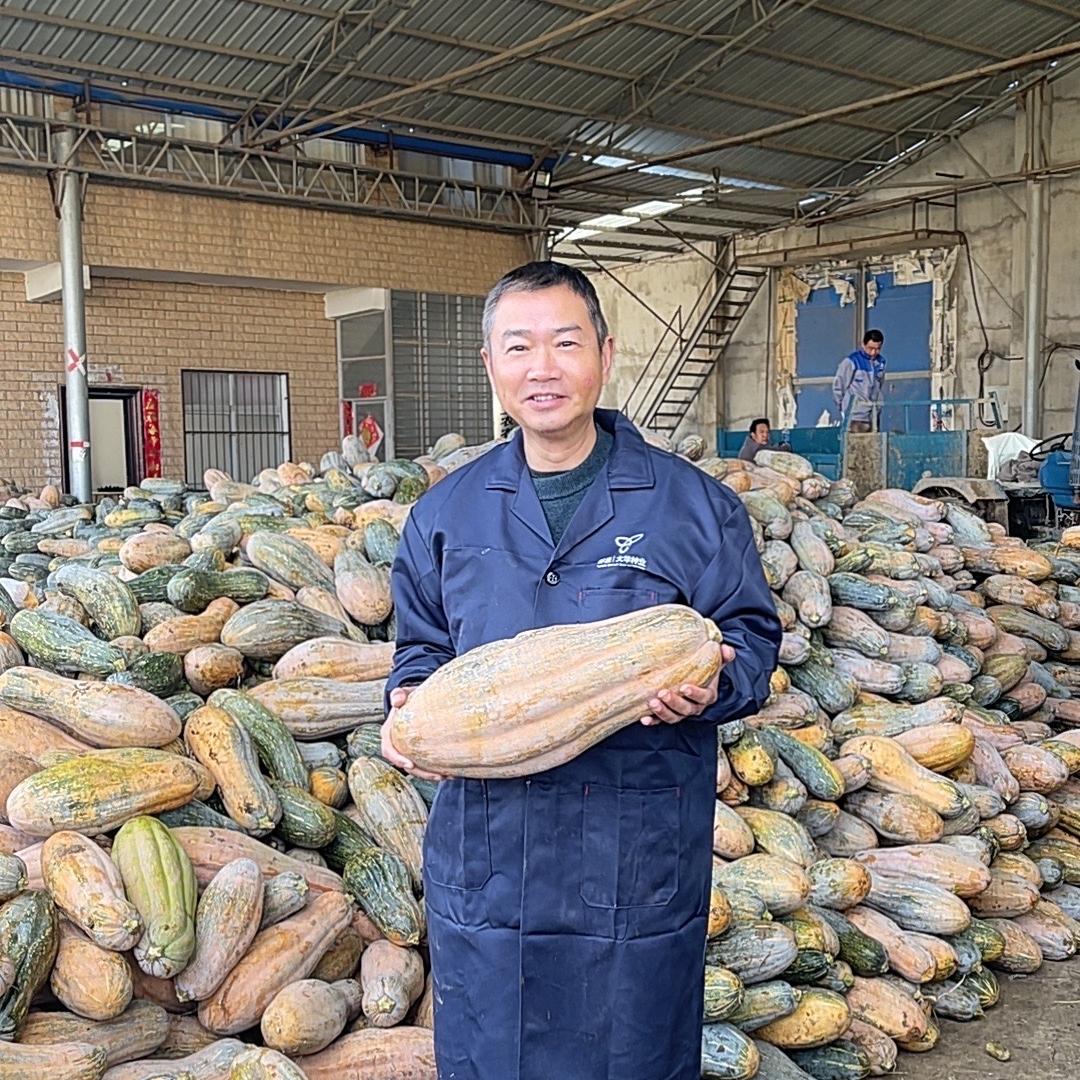 襄阳农特产品店