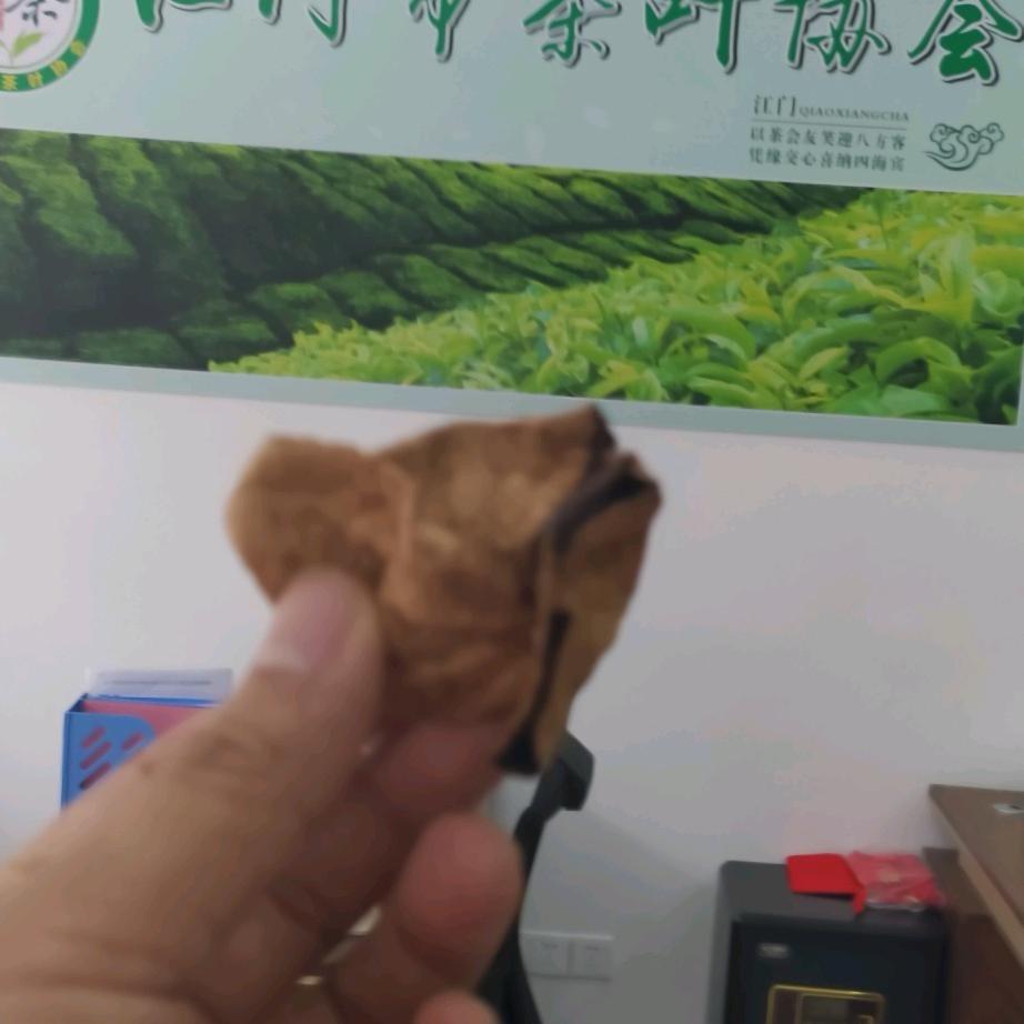 张佰乐