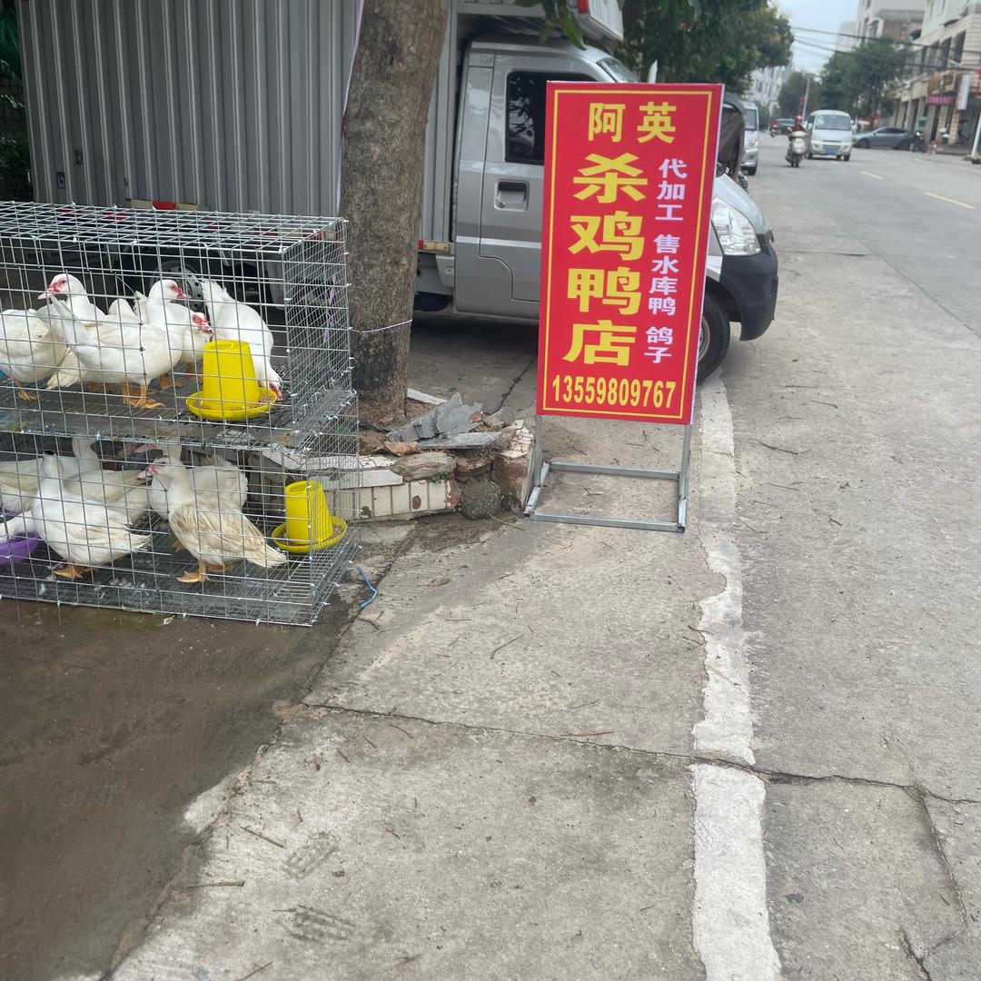 越努力越幸运