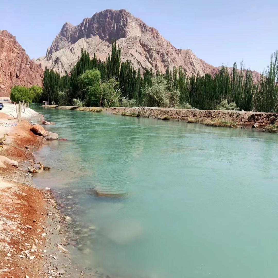 梦雨安家信息咨询