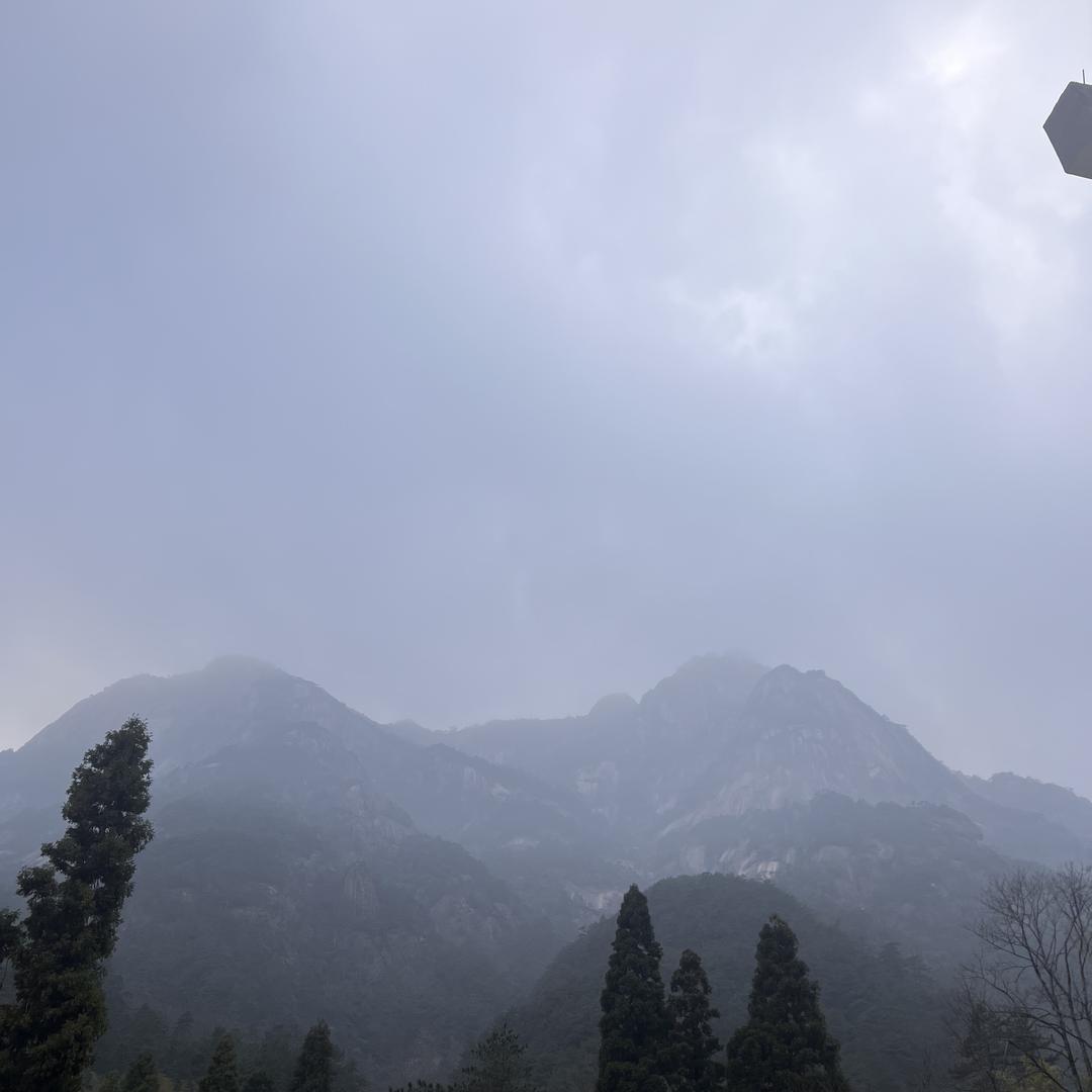 西瓜皮wifi推荐