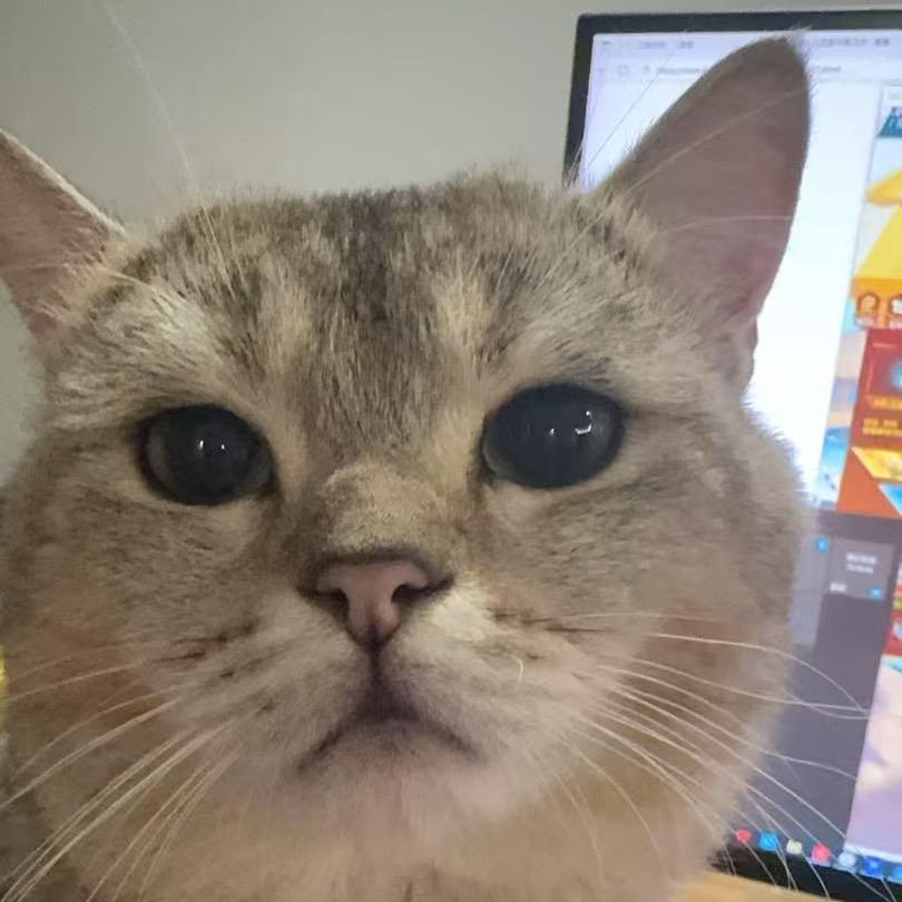 狗剩