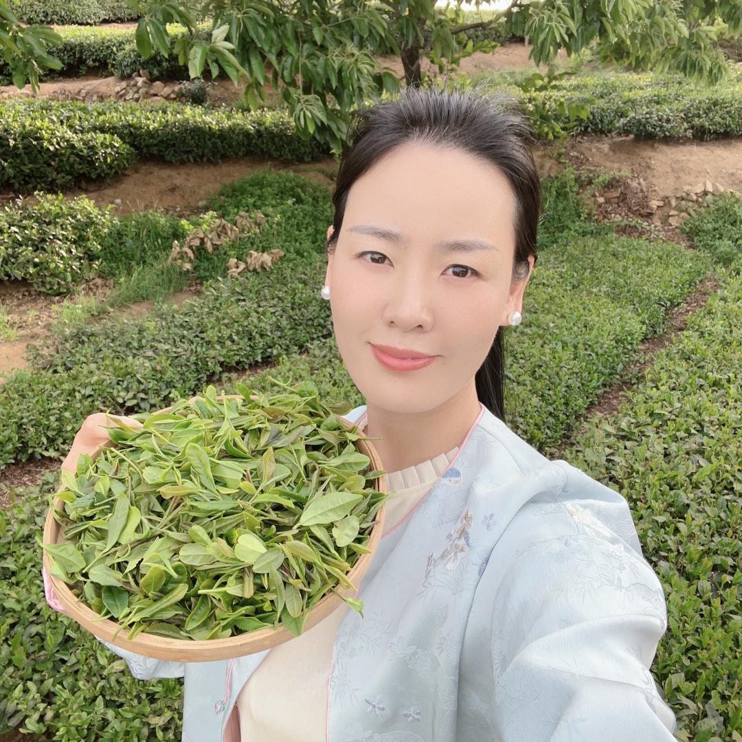 日照绿茶厉子