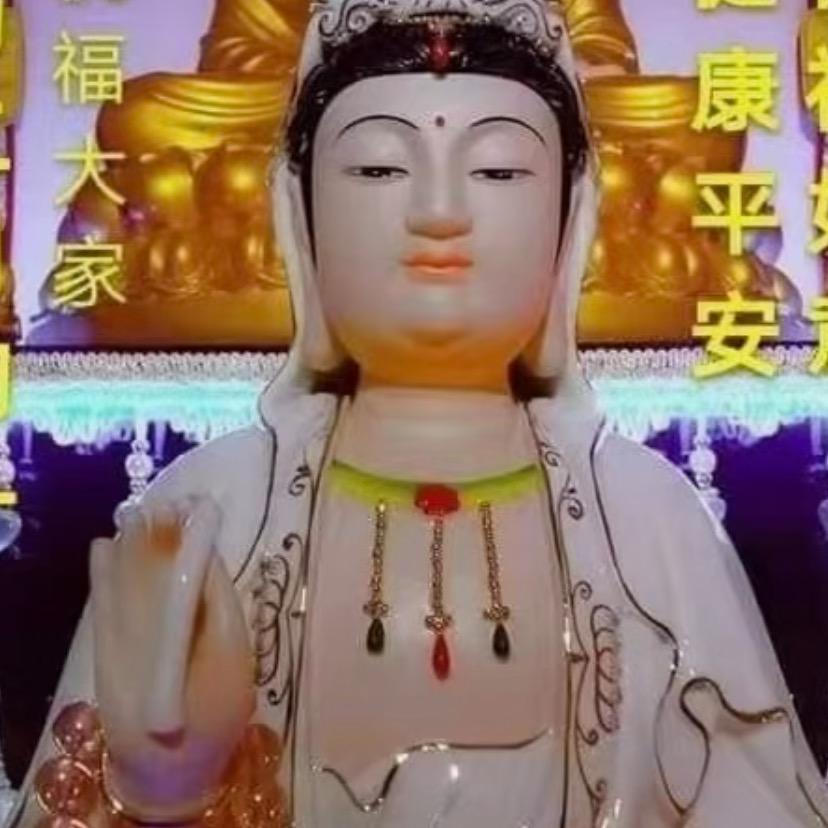 💃💃💃💃南飞燕我