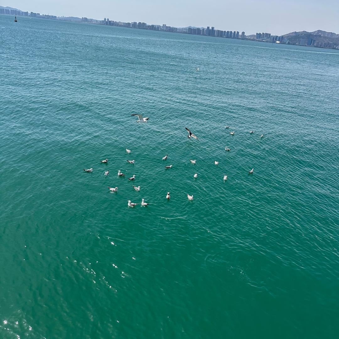 💥🥰幸福&心诚❤️