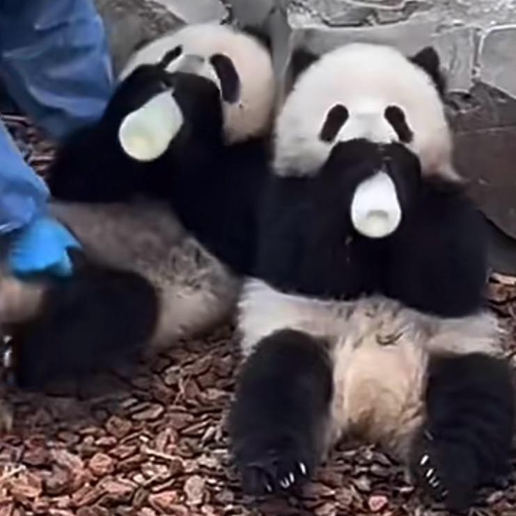 六一一