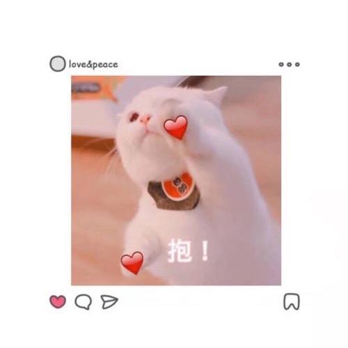 亿只冰唐葫卢